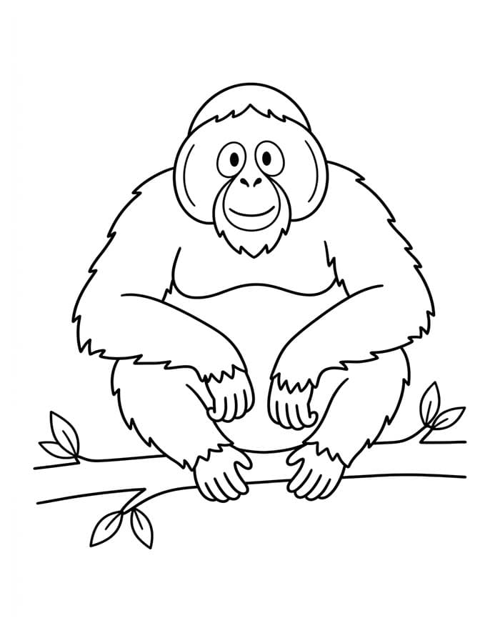 Kolorowanka Obraz Orangutan