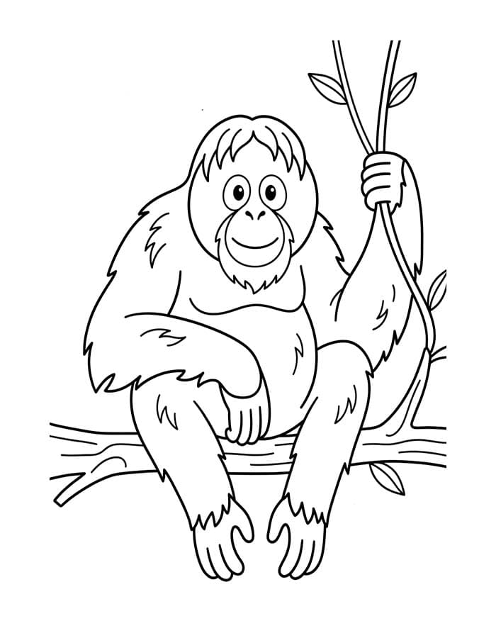 Kolorowanka Orangutan bezpłatny łatwy