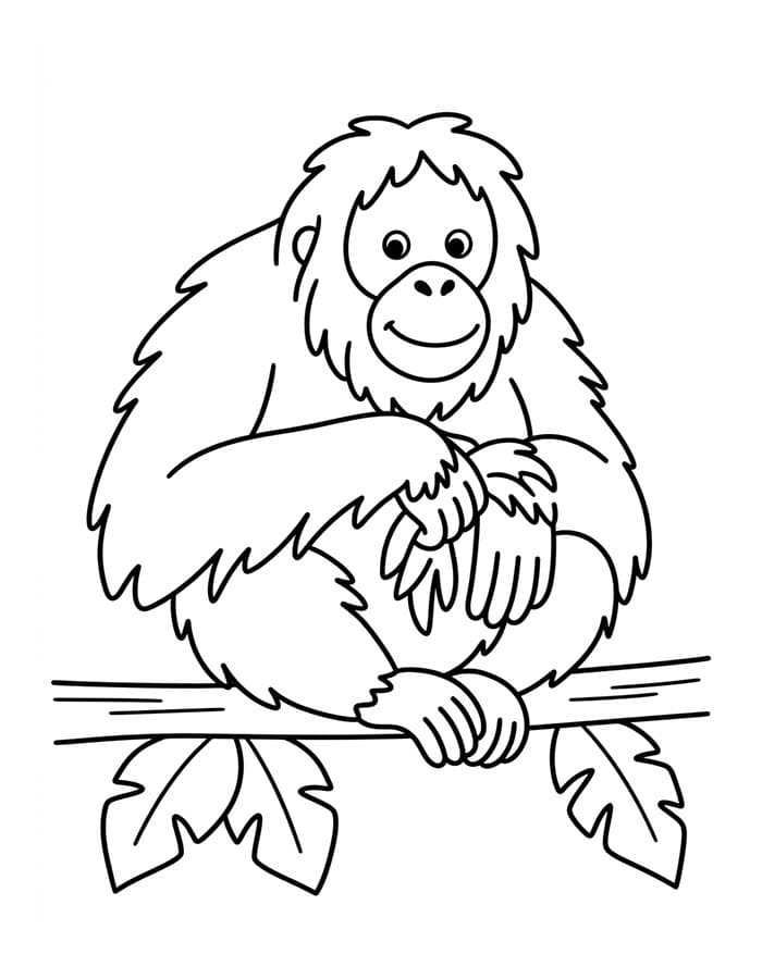 Kolorowanka Orangutan bezpłatny wydruku łatwy