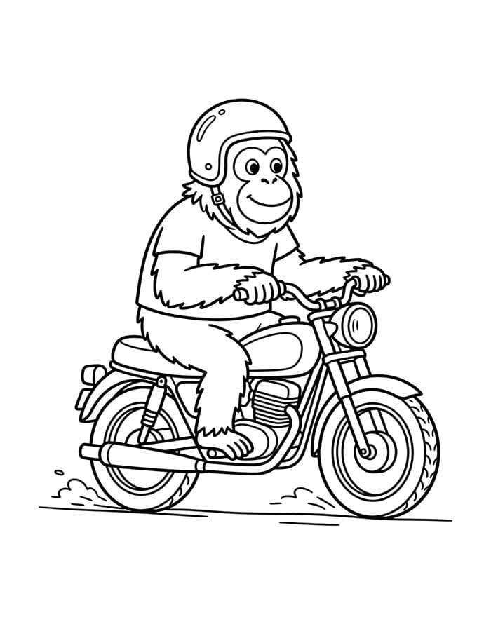 Kolorowanka Orangutan bezpłatny wydruku podstawowy