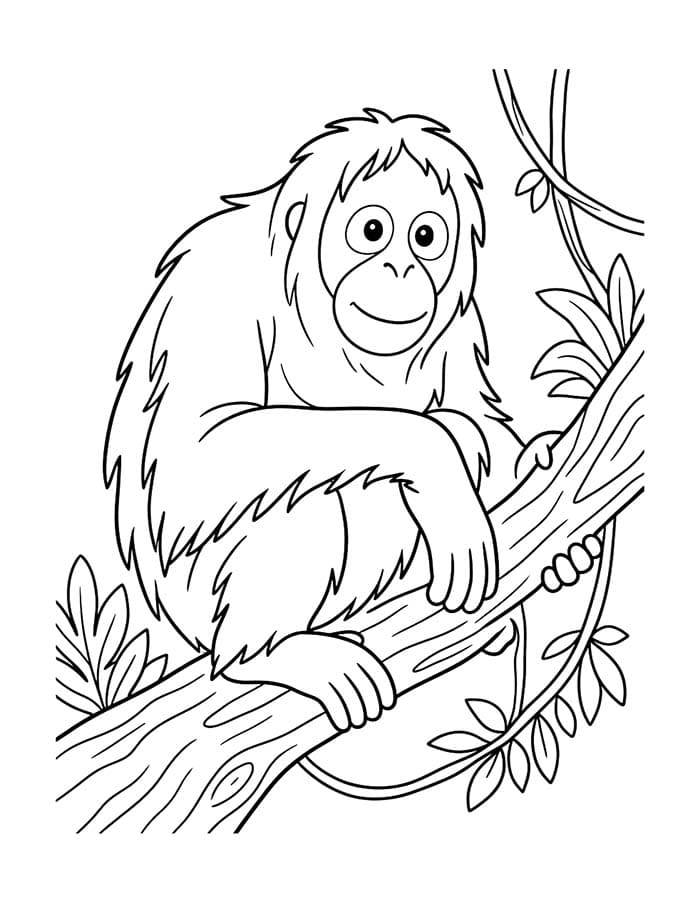 Kolorowanka Orangutan bezpłatny wydruku