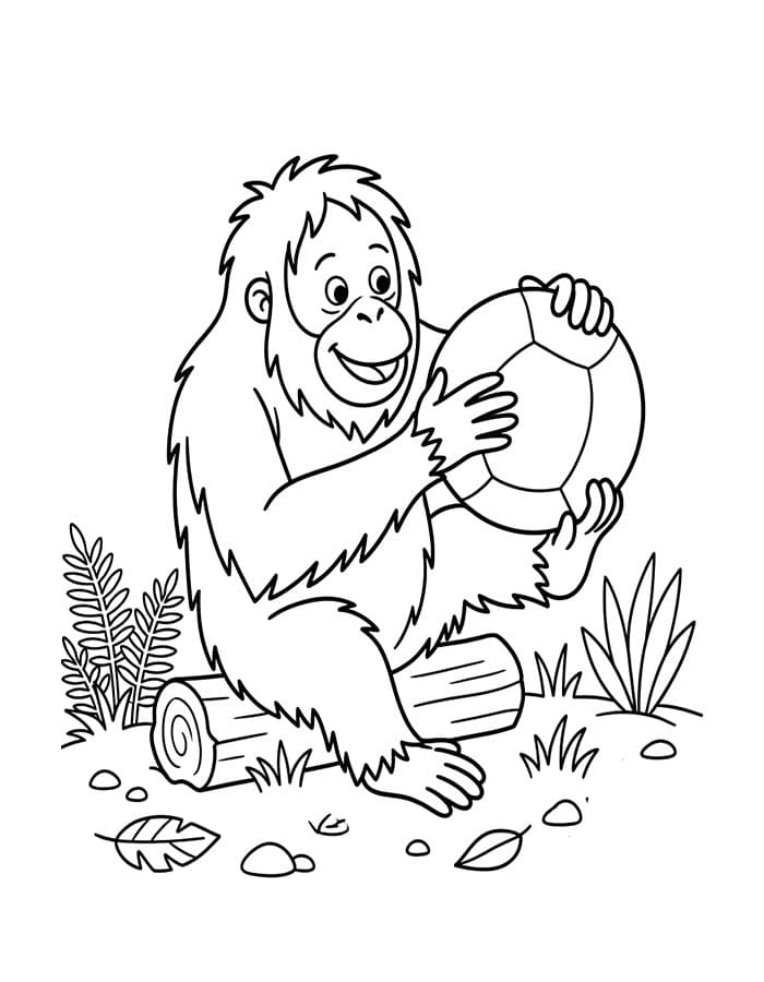 Kolorowanka Orangutan dla dzieci