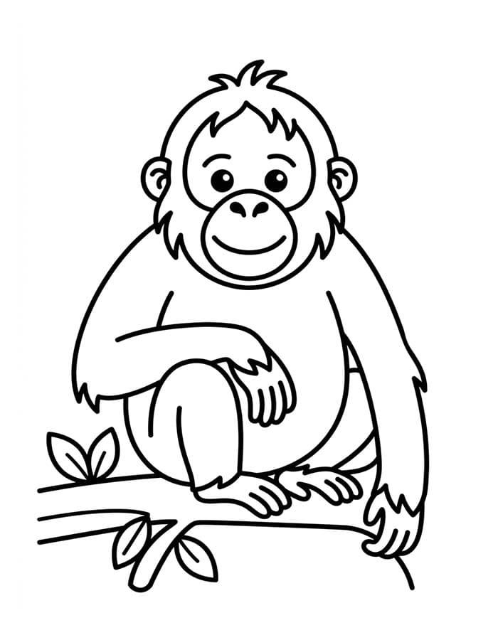 Kolorowanka Orangutan wydruku łatwy