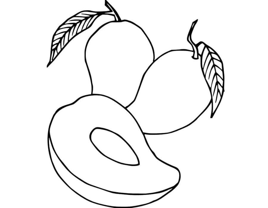 Kolorowanka Narysuj Mango prosty